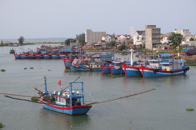 Ngư dân Quảng Ngãi lao đao với nghề biển (19/04/2022)